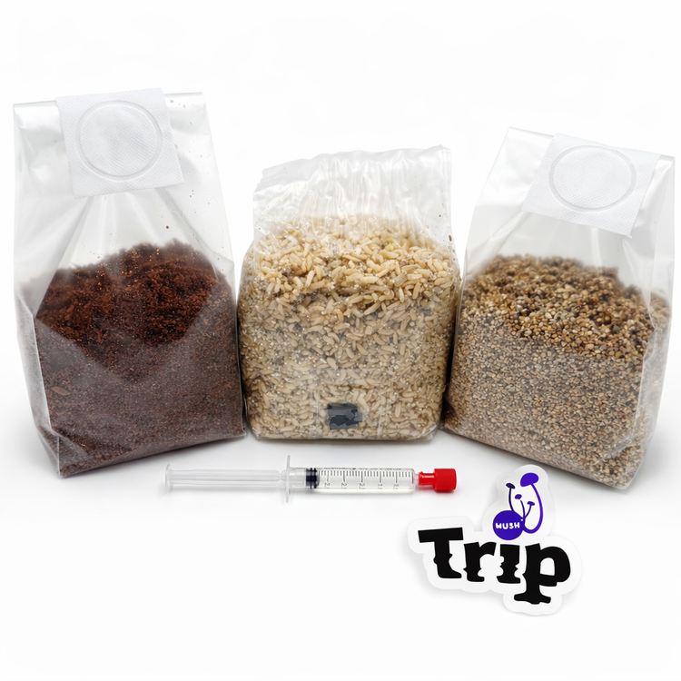Packs de cultivo