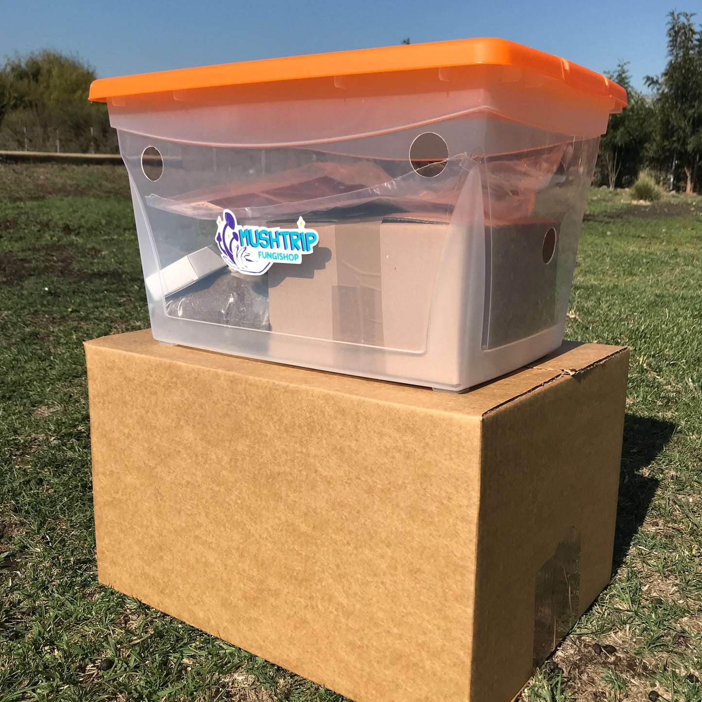 Kit de cultivo M - Hasta 1kg de producción