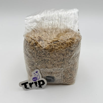 Kit de Cultivo de Hongos | ShroomBag