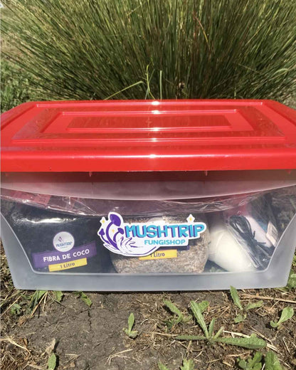 Kit de cultivo de hongos | Kit S