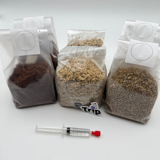 Pack de reposición M